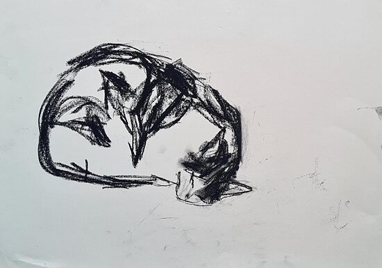 Charcoal Cat