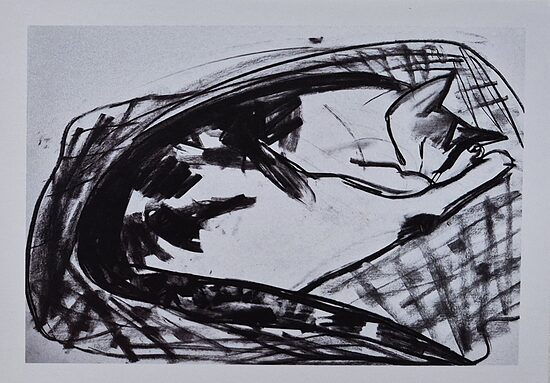 Sleeping Cat