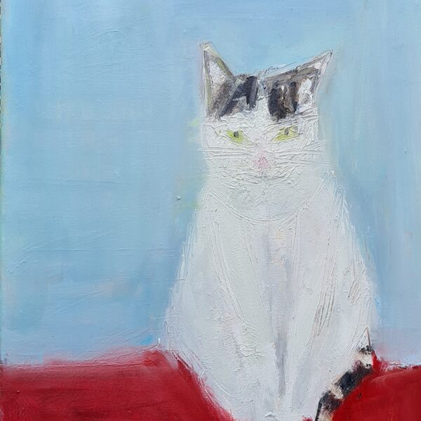 Cat on Red Mat - Oils on Canvas 30 x 40cm  2025